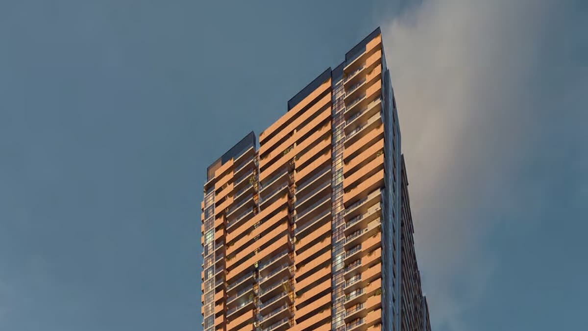 Vista 3