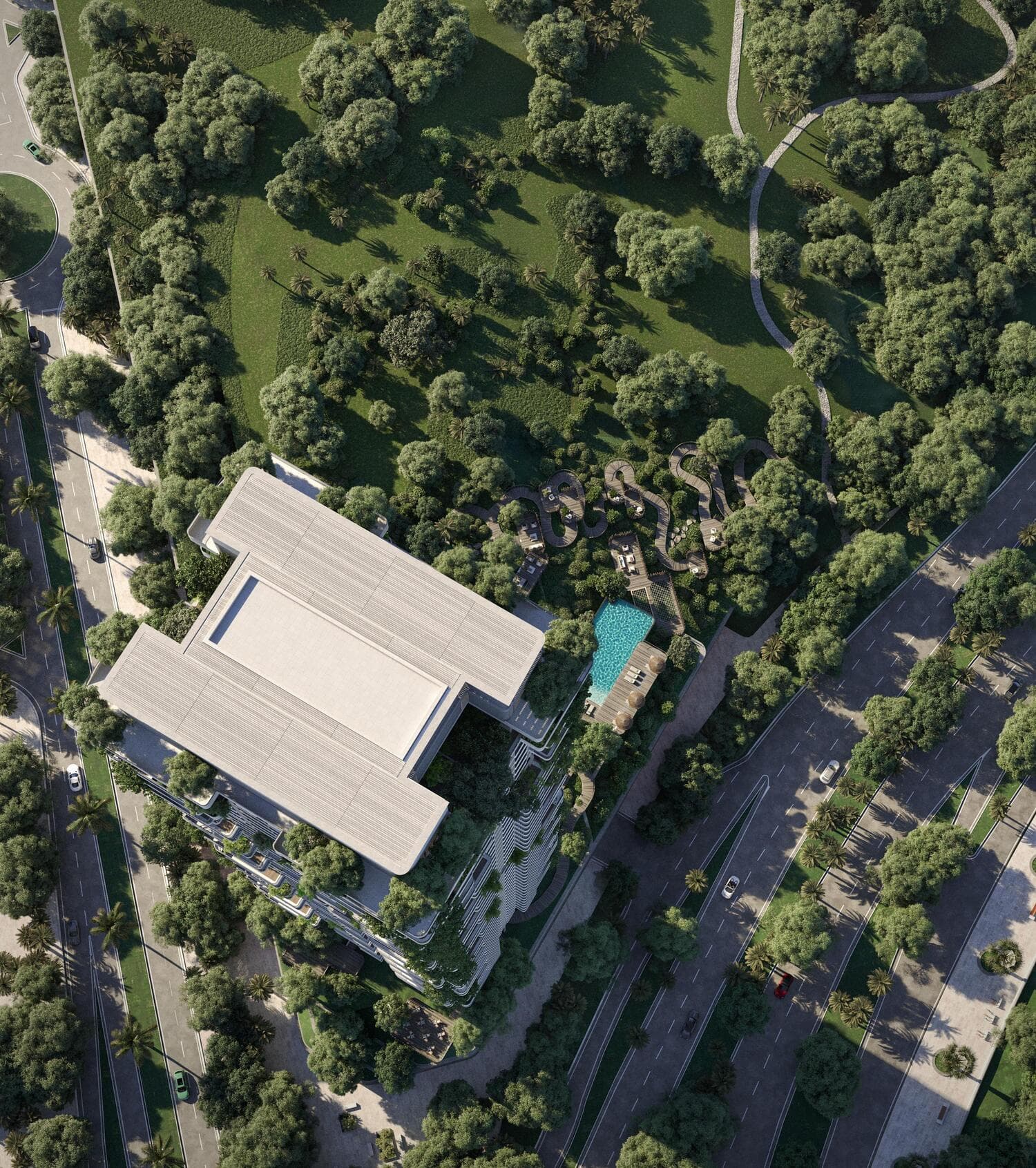 Talea - Image 3