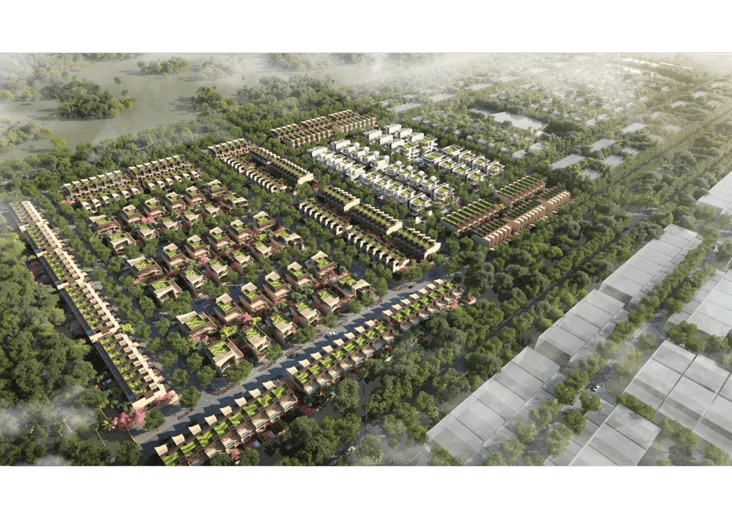 Greenwood Royal - Image 1