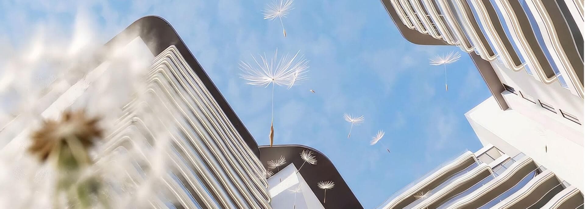 Reef 995 - Image 2