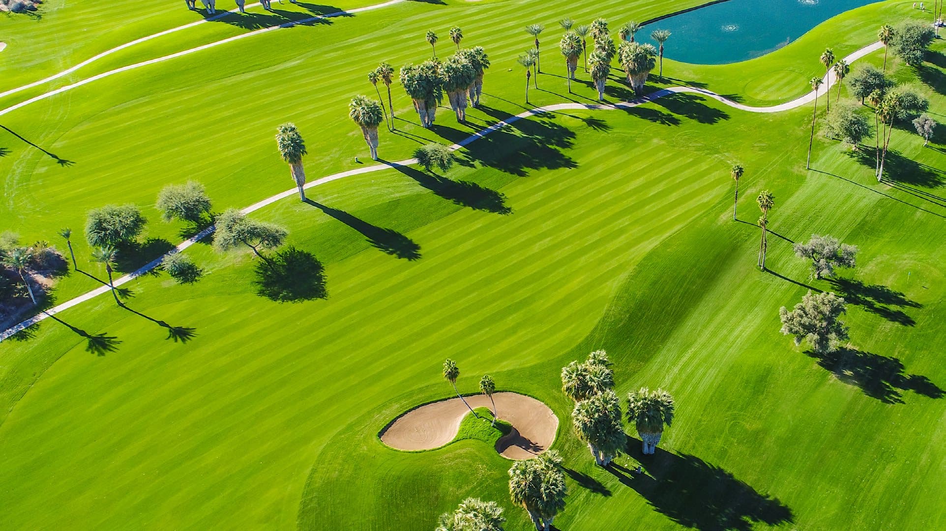 Palm Hills (ELIE SAAB x Emaar) - Image 1