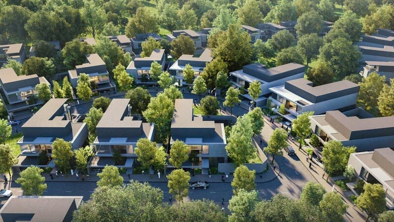 Masaar Sequoia - Image 2