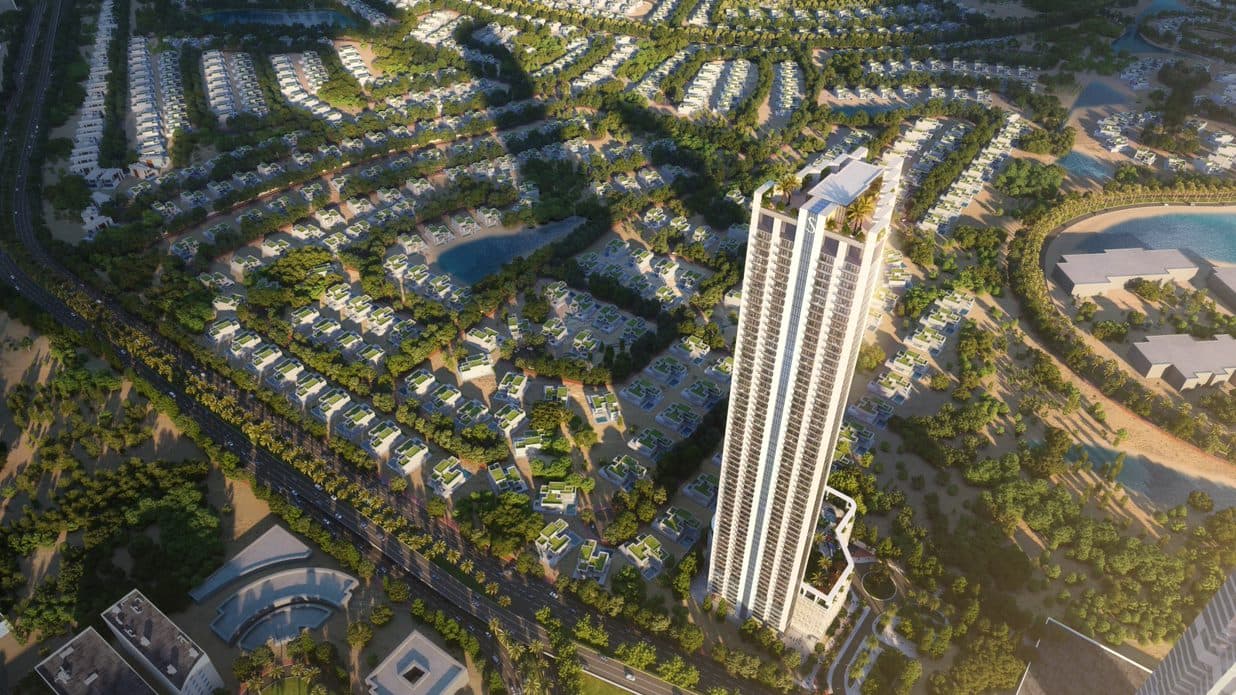 Verde - Image 3
