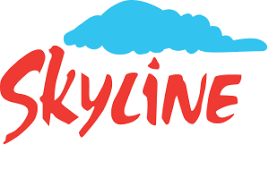 Skyline Builders Real Estate LLC
