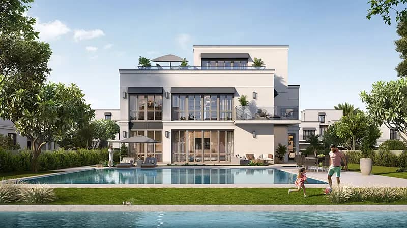 Palmiera 3